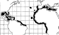 Hymenocephalus italicus_mapa